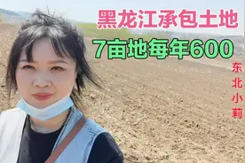 在黑龙江农村承包土地，每亩这价格高吗，14亩的地种点什么菜