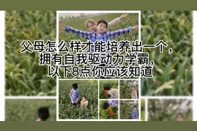 孩子成绩好，跟天赋只有半毛钱的关系，另外9毛半在这视频封面