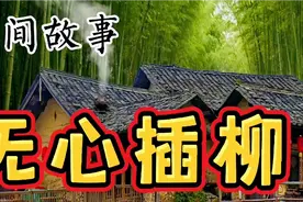 《民间故事》品德高尚好书生，李逵李鬼难辨清，无心插柳状元中视频封面