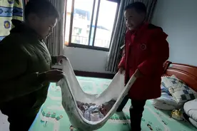 哥哥说：“弟弟你该减肥啦”😂😂😂