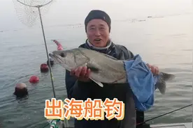 大哥用实战经验告诉钓友，出海船钓用什么鱼杆，线钓阻，太实用了
