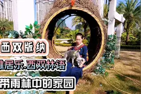 西双版纳过冬太舒服 真事儿回家砸锅卖铁高低我也要整一套养老 ！视频封面
