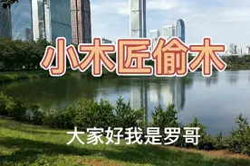 民间故事：小木匠偷木视频封面