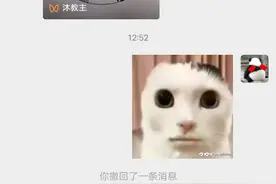 表情包的正确用法视频封面