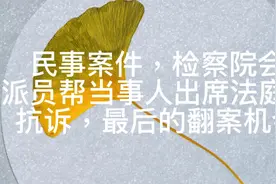 民事案件，检察院会派员帮当事人出席法庭？抗诉，最后的翻案机会视频封面