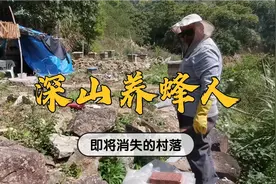 寻找广东深山“消失”的村落，村民搬走归自然，是什么原因？视频封面