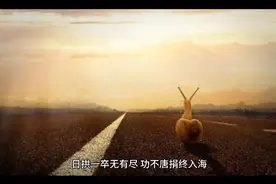 日拱一卒无有尽，功不唐捐终入海。视频封面
