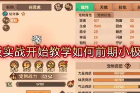 【造梦无双】无双玩家养宠必学技巧！
