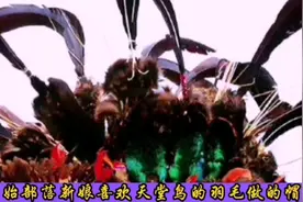 原始部落新娘结婚，不要房和车，只要天堂鸟的羽毛做成的帽子视频封面