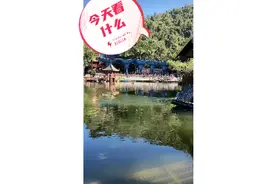 今天看什么视频封面