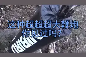 超超超大鞭炮，你见过吗？视频封面