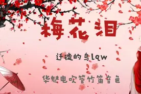 吹奏一曲《梅花泪》华魅电吹管竹笛音色【自吹自剪自娱自乐】