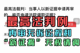 最高法判例，再审无诉讼权利，“新证据”无权请调（2）视频封面
