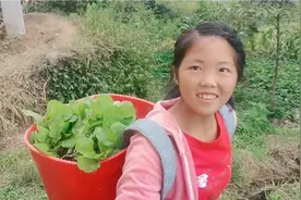 农村姑娘真聪明，花椒地里套种油菜，明年的菜籽油又不用花钱买了视频封面