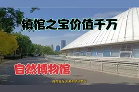天津自然博物馆镇馆之宝价格千万，你看过吗？跟我探奇大自然奥秘视频封面