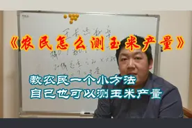 教农民一个小方法，自己在家也能测玉米产量，上下相差100斤左右视频封面