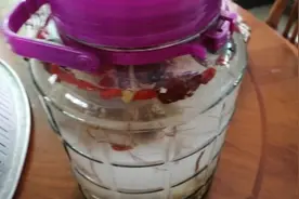 五指毛桃泡酒，传说据有被子打穿孔之功效视频封面