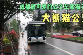 你见过大熊猫的公交车吗，来到成都街头体验一下熊猫公交，太可爱视频封面