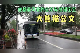 你见过大熊猫的公交车吗，来到成都街头体验一下熊猫公交，太可爱视频封面