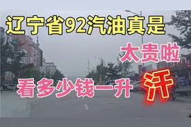 辽宁省92汽油有点贵哦，看多少钱一升呀