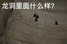 济南南部山区龙洞一日游视频封面