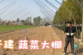 农村小伙地里建大棚，搞蔬菜种植，钢管材料到家13000元，开建！视频封面