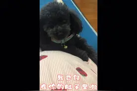 我在天上挑妈妈视频封面