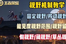 能见度?固定视野?移动视野?上分神器——视野机制不了解一下嘛视频封面