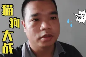 澳门六合彩昨晚开44号，真是害人不浅，大家远离视频封面