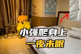 重庆住酒店遇蟑螂窝，小强半夜爬身上还往耳朵里钻，吓得一夜未眠视频封面
