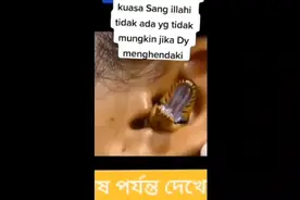 美女养蛇视频封面