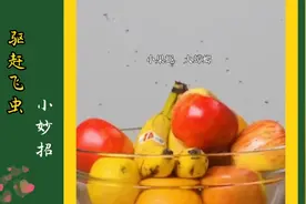 你家的水果吸引很多小飞虫吗？这些简单的小妙招就可以驱赶果蝇哟