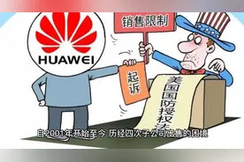 华为卖掉的四个子公司，它们都过得怎么样了视频封面