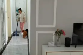 家里打扫的干干净净，夫妻粗茶淡饭，过着清静休闲的日子视频封面