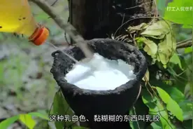 #天然橡胶 #知识科普 天然橡胶历史及发展。