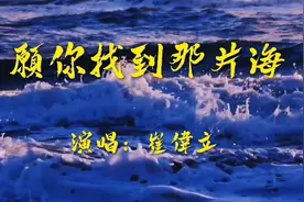 崔伟立一首《愿你找到那片海》满满正能量的暖心歌曲，请大家欣赏视频封面