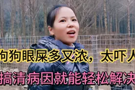 狗狗小知识：这5个导致狗狗有眼屎的原因你知道吗？视频封面