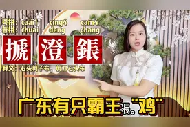 广东人和广西人说的残鸡、猜呈寻，源于南汉刘鋹视频封面