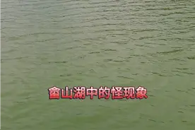 畲山湖中的神秘现象，结尾我亮了视频封面