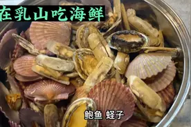 山东荣成的石岛，候鸟人的宜居地，到乳山吃海鲜视频封面
