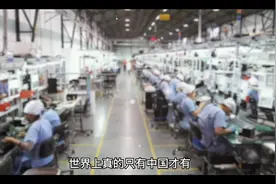 世界上只有中国才有12小时两班倒吗？视频封面