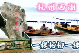 杭州西湖春意怏然，一棵杨柳一棵桃景色迷人，忆江南最忆是杭州！视频封面