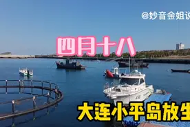 南无阿弥陀佛！四月十八小平岛放生，祈愿世界和平，国泰民安！视频封面