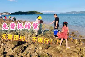 秘密赶海基地，深圳自驾不到20分钟！免费抓螃蟹挖贝壳，无需预约视频封面