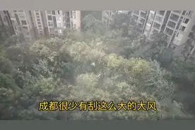 成都刮起了八级以上大风！中伏以来的头一场暴风雨视频封面