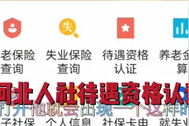 河北养老金认证非常简单谁看谁明白＃河北人社视频封面