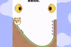 会说外星语的狗狗大战小蜜蜂视频封面