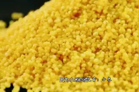 徐文兵四季養生
五谷之首：小米视频封面