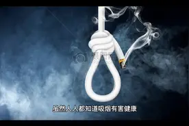 香烟的五大老品牌视频封面
