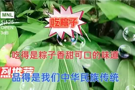 五月五是我们中华民族传统文化的节日，祝大家端午节安康视频封面